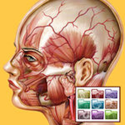 Atlante di Anatomia - Sezioni è un app indispensabile per chiunque eserciti o studi professioni sanitarie. Qui in versione in-app purchase